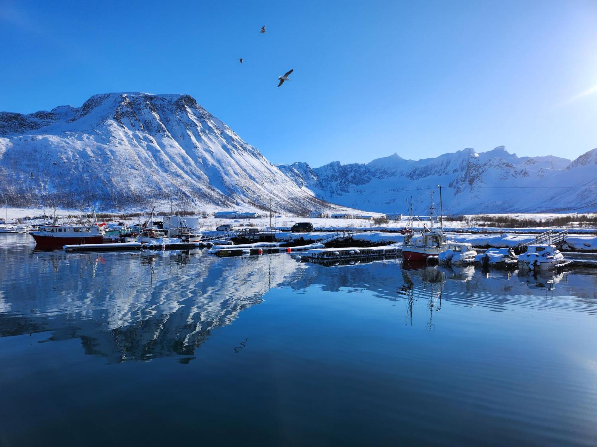 Tromtind Lodge Tromsø Eksteriør bilde